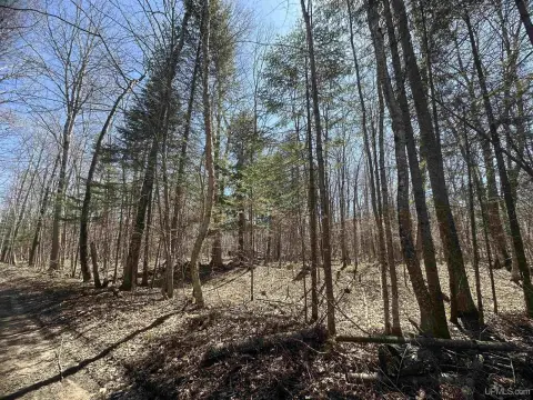 Vacant Land in Hiawatha Shores