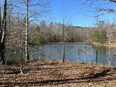 Waterfront Wooded Land with Private Shoreline