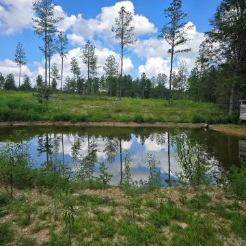 Creek Front Property with Views