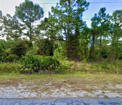 Residential Lot in Growing Area
