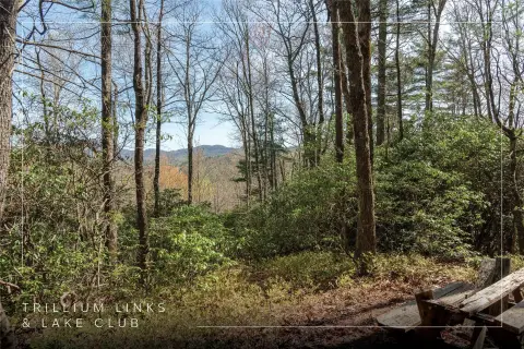 Trillium Homesite with Mountain Views