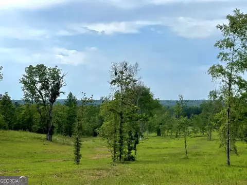 Managed Timber Hunting Land
