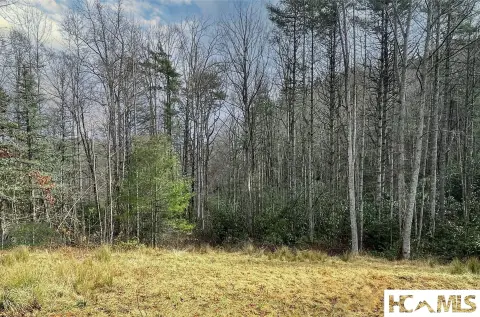 Cashiers, NC Land For Sale