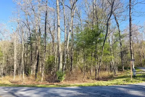 Level Homesite in Norton Ridge