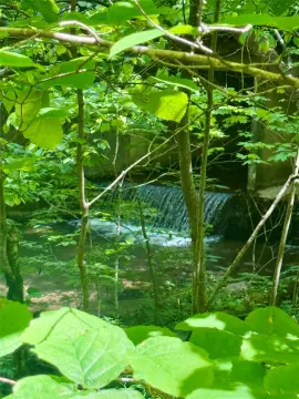 Creek Front Lot Near Glenville