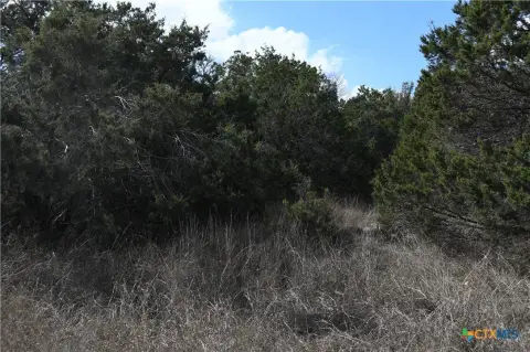 Adjacent Corner Buildable Lots