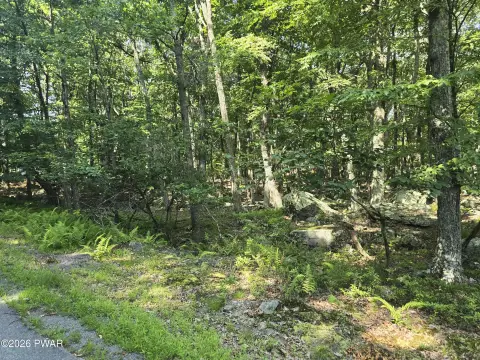 Build-Ready Homesite in Gated Community