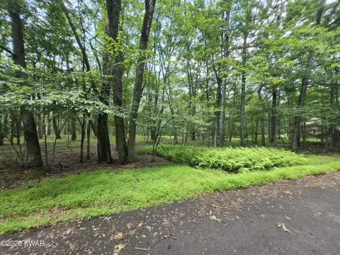 Level Wooded Residential Lot
