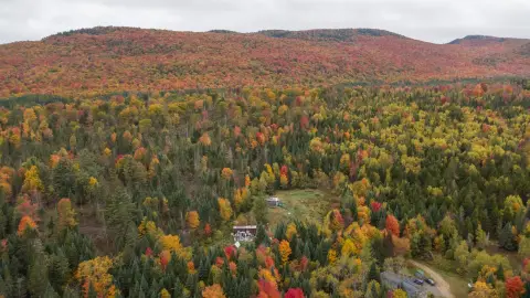 Wooded Recreation Land