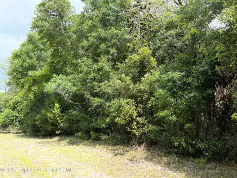 Chiefland, FL Acre Lot