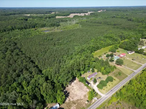 Timber and Hunting Tract with Homesite