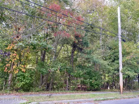 Residential Land in Jackson, NJ