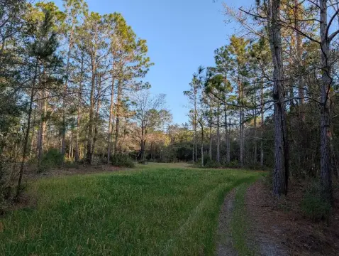 Crestview Land Parcel For Sale