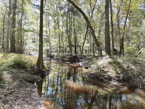 550 Acres of Hunting Land