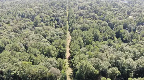 Wooded Land Tract