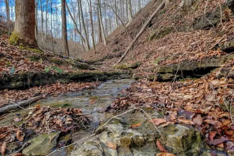 Unrestricted Land Near Center Hill