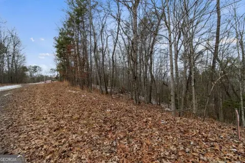 Buildable Land Near Toccoa River