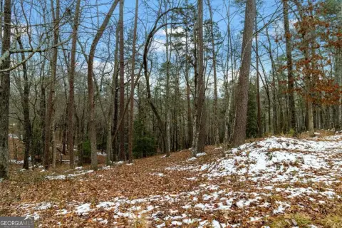 Blue Ridge Buildable Acreage