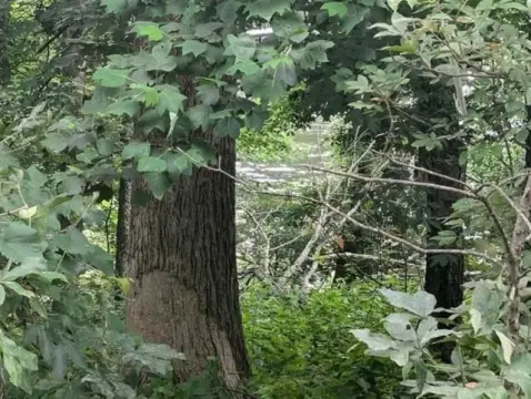 Waterfront Lot in Skypark