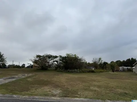 Residential Lot in Birmingham