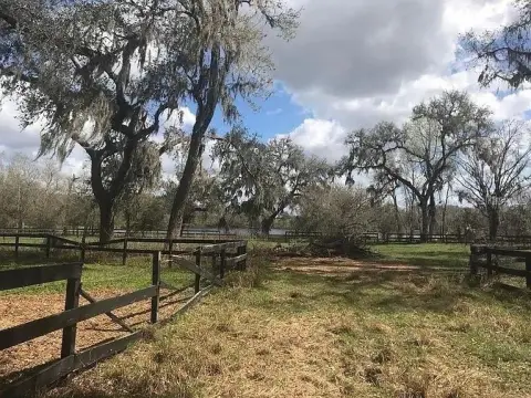 5-Acre Homesite with Lake