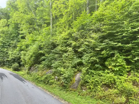 Mountain Homesite in Gated Community