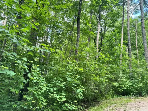 Gently Sloping Homesite in Gated Community