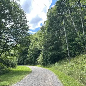 Wooded Land With Utility Access