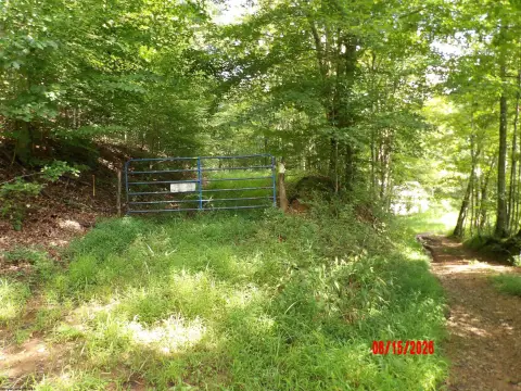 Remote Hunting Land