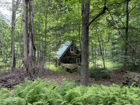 Recreation Land with Unfinished Cabin