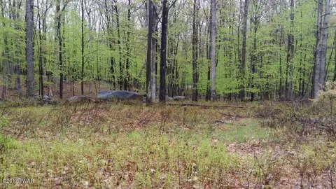 Single-Family Residential Lot