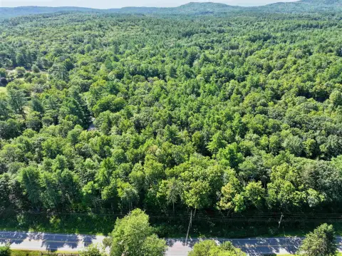 Wooded Agricultural Land