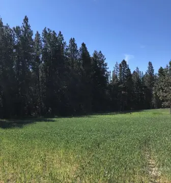 22-Acre Winchester Homesteading Land