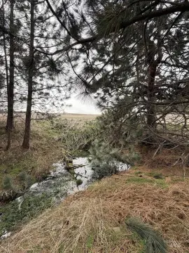 22 Acres Winchester Dream Property