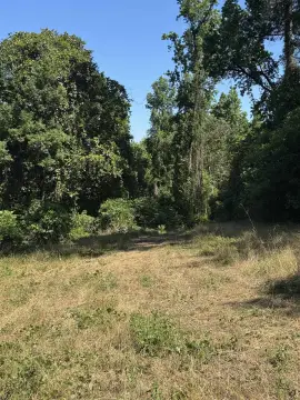 Quincy, FL Hunting Land