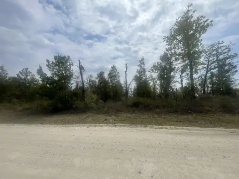 Keaton Beach Open Lot