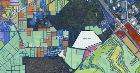 85 Acres Development Land, Gainesville