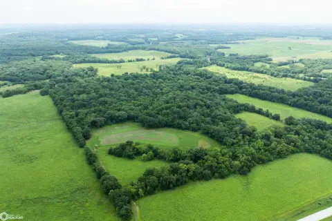 Managed Hunting Land