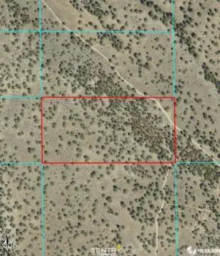 Wooded Recreational Land