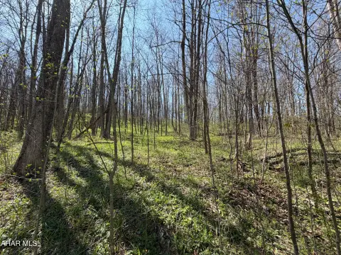 Land Parcel Near Recreation Areas