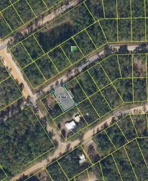 Residential Lot in Interlachen, FL