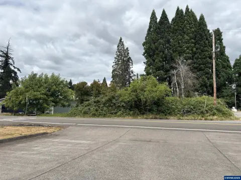Community Zoned Vacant Lot