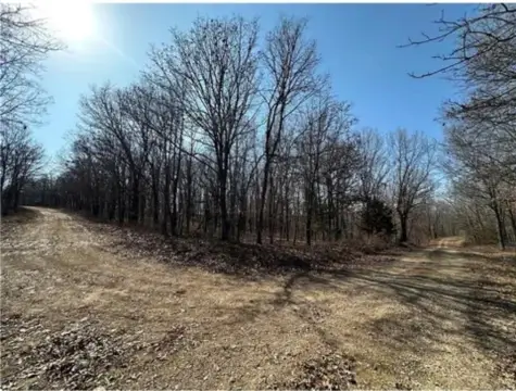 Wooded Recreation Land Parcel
