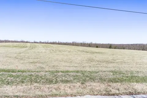 Cleared Land Near Lake Tansi