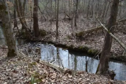 Hilham, TN Land with Creek
