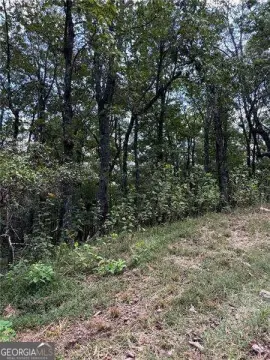 Land with Mountain Views