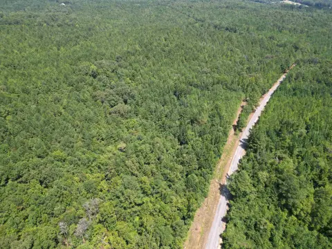 Timber and Recreation Tract