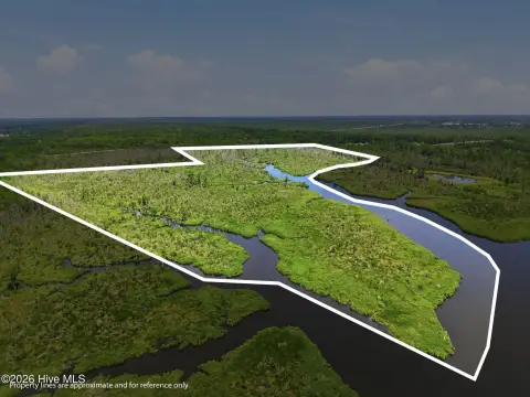 Wetland Hunting Tract with Water Access