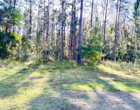 Half-Acre Lot in Golf Community