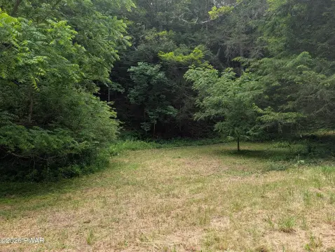 Wooded Recreational Land Parcel
